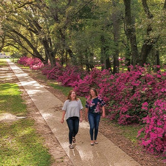 Students walking in campus entrance